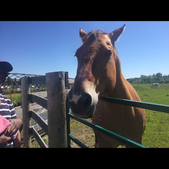 Meet your Posher, Krysten - Picture 1 of 1